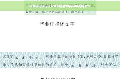 农业银行银行流水查询操作指南及指南解读??