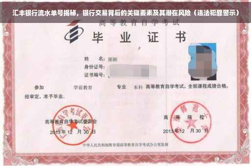 汇丰银行流水单号揭秘，银行交易背后的关键要素及其潜在风险（违法犯罪警示）