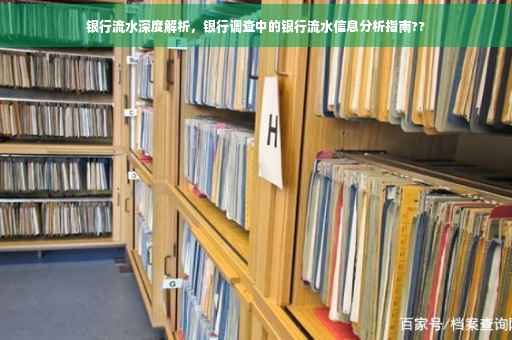 银行流水深度解析，银行调查中的银行流水信息分析指南??