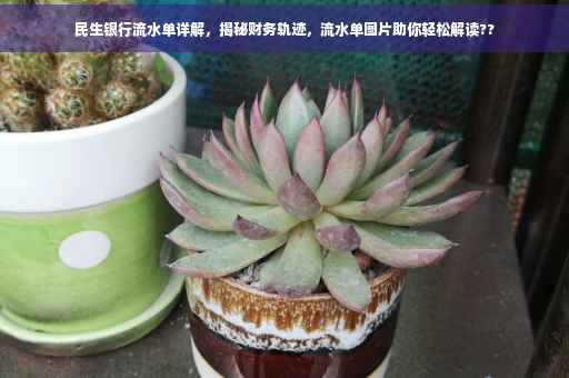 民生银行流水单详解，揭秘财务轨迹，流水单图片助你轻松解读??
