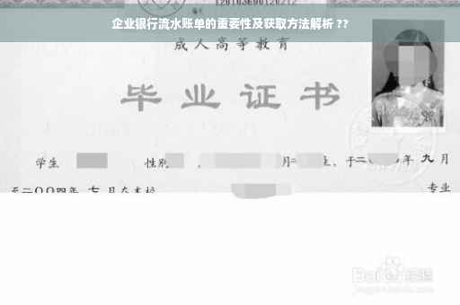 企业银行流水账单的重要性及获取方法解析 ??