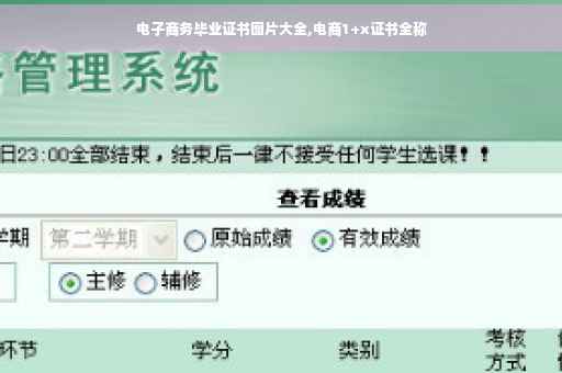 电子商务毕业证书图片大全,电商1+x证书全称