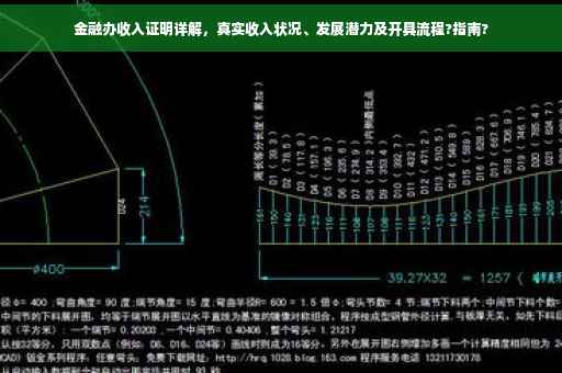 金融办收入证明详解，真实收入状况、发展潜力及开具流程?指南?