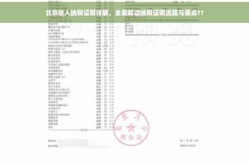 北京收入纳税证明详解，全面解读纳税证明流程与要点??