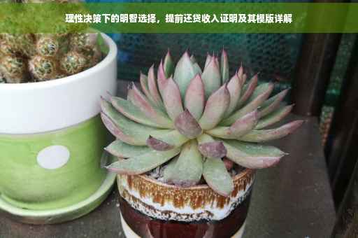 理性决策下的明智选择，提前还贷收入证明及其模版详解