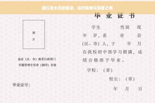 银行流水还款解读，应对策略与洞察之道