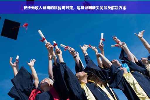 长沙无收入证明的挑战与对策，解析证明缺失问题及解决方案