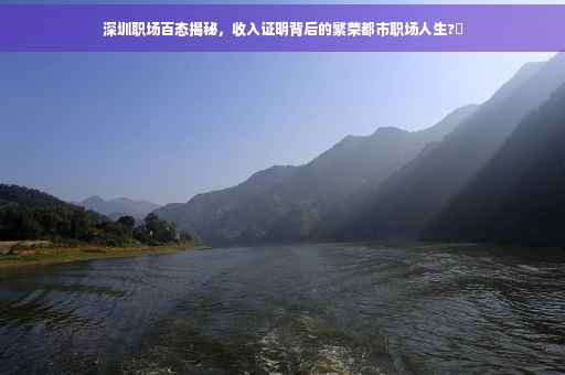 深圳职场百态揭秘，收入证明背后的繁荣都市职场人生?✨