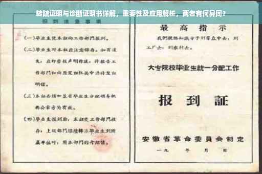 转院证明与诊断证明书详解，重要性及应用解析，两者有何异同？