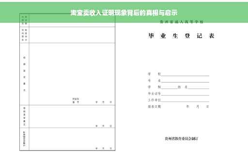 淘宝卖收入证明现象背后的真相与启示