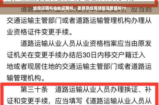 法定证明与自由证明书，差异及应用场景深度解析??