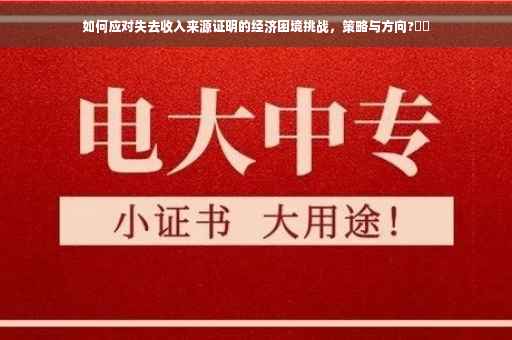 如何应对失去收入来源证明的经济困境挑战，策略与方向?⚡️