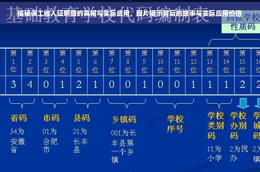 揭秘误工收入证明图的真相与实际应用，图片揭示背后的故事与实际应用价值