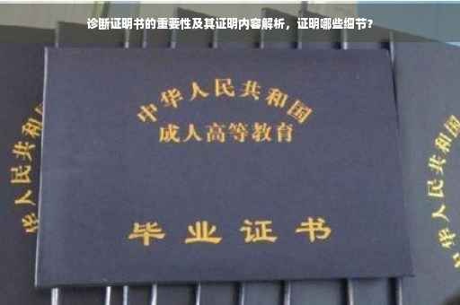 诊断证明书的重要性及其证明内容解析，证明哪些细节？