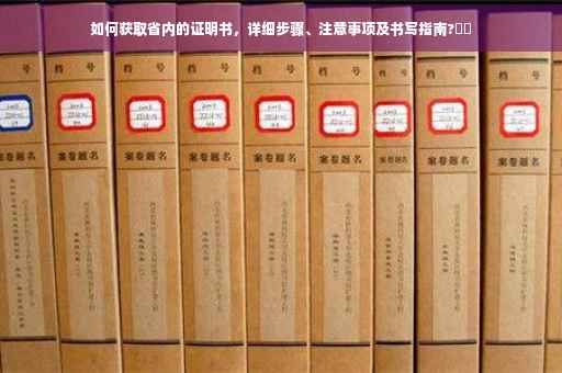 如何获取省内的证明书，详细步骤、注意事项及书写指南?⚡️