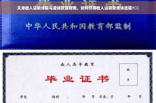 天津收入证明详解与退休政策指南，如何开具收入证明及退休流程?⚡️