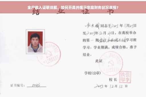全户收入证明详解，如何开具并揭示家庭财务状况真相？