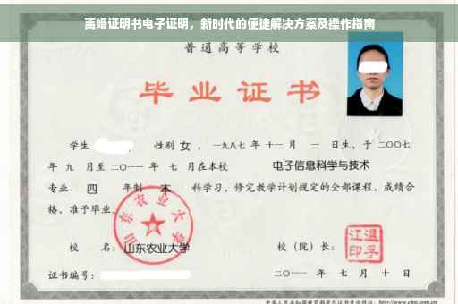 离婚证明书电子证明，新时代的便捷解决方案及操作指南
