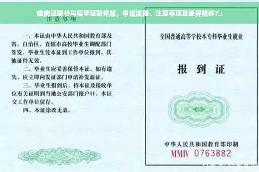 疾病证明书与复学证明详解，申请流程、注意事项及差异解析?✨