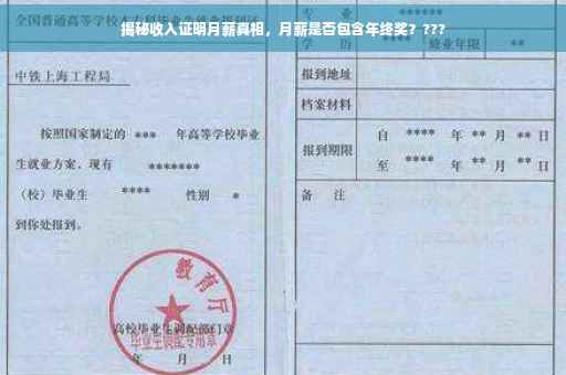 揭秘收入证明月薪真相，月薪是否包含年终奖？???