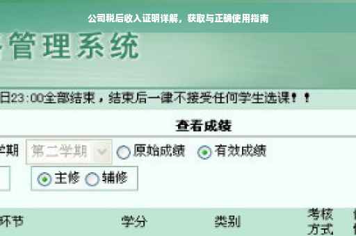 公司税后收入证明详解，获取与正确使用指南