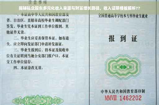 揭秘私企股东多元化收入来源与财富增长路径，收入证明模板解析??