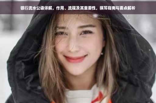 银行流水公函详解，作用、流程及其重要性，撰写指南与要点解析