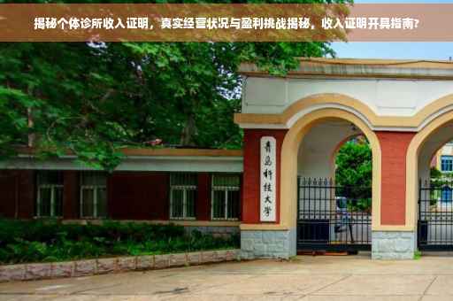 揭秘个体诊所收入证明，真实经营状况与盈利挑战揭秘，收入证明开具指南?