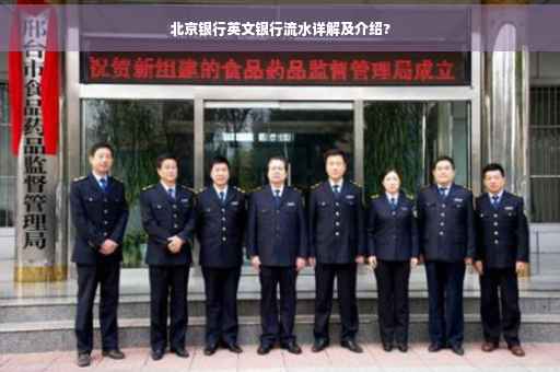 北京银行英文银行流水详解及介绍?