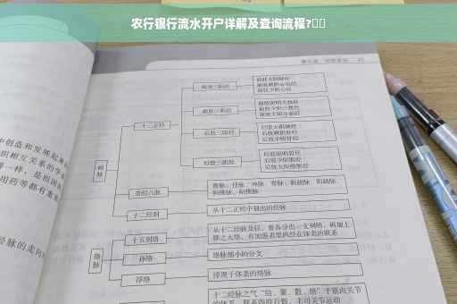 农行银行流水开户详解及查询流程?⚡️