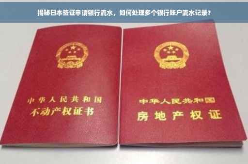 揭秘日本签证申请银行流水，如何处理多个银行账户流水记录？