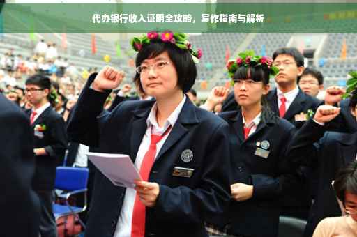 代办银行收入证明全攻略，写作指南与解析