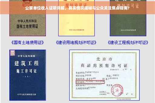 公家单位收入证明详解，真实情况揭秘与公众关注焦点指南?