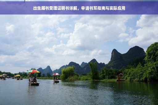 出生届书受理证明书详解，申请书写指南与实际应用