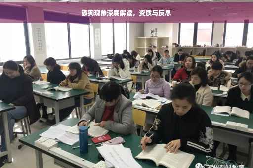 舔狗现象深度解读，资质与反思