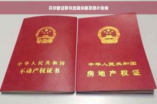 开诊断证明书流程详解及图片指南