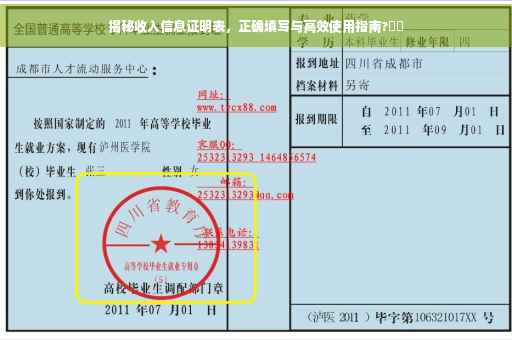 揭秘收入信息证明表，正确填写与高效使用指南?⚡️