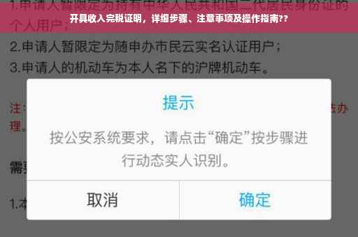 开具收入完税证明，详细步骤、注意事项及操作指南??