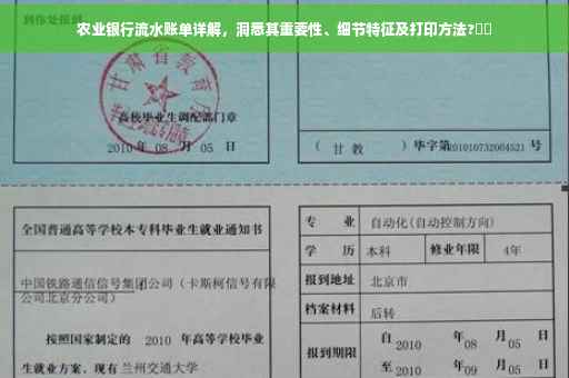 农业银行流水账单详解，洞悉其重要性、细节特征及打印方法?⚡️