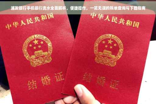 浦发银行手机银行流水全面解析，便捷操作，一览无遗的账单查询与下载指南
