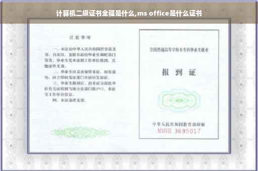 计算机二级证书全程是什么,ms office是什么证书