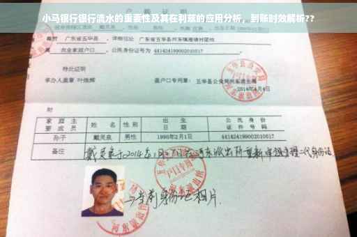 小马银行银行流水的重要性及其在利兹的应用分析，到账时效解析??