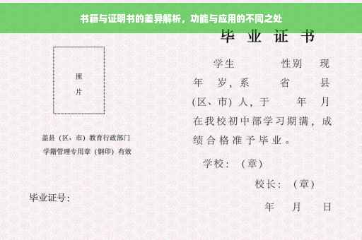 书籍与证明书的差异解析，功能与应用的不同之处