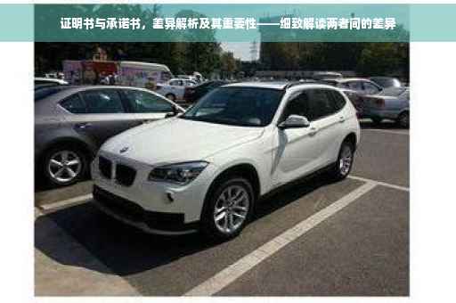 证明书与承诺书，差异解析及其重要性——细致解读两者间的差异