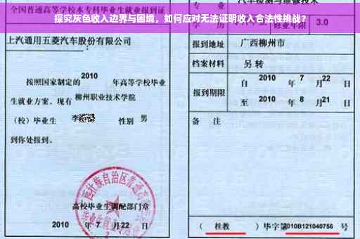 探究灰色收入边界与困境，如何应对无法证明收入合法性挑战？