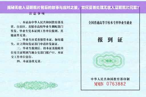 揭秘无收入证明照片背后的故事与应对之策，如何妥善处理无收入证明照片问题？