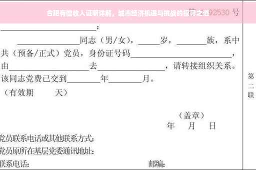 合肥有偿收入证明详解，城市经济机遇与挑战的探寻之道