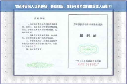 农民种田收入证明详解，辛勤耕耘，如何开具希望的田野收入证明??