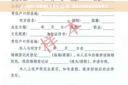 深圳假收入证明背后的真相与反思，违法行为的探究与反思??
