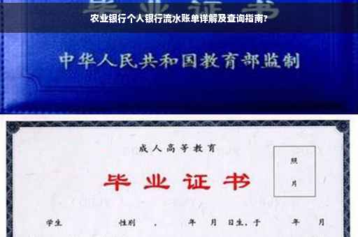 农业银行个人银行流水账单详解及查询指南?